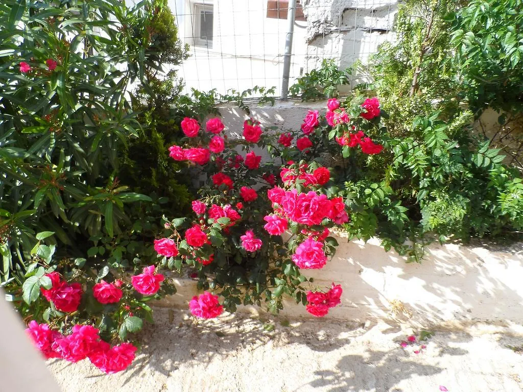 Alexia Ferentinou Apartment Kothreas Greece